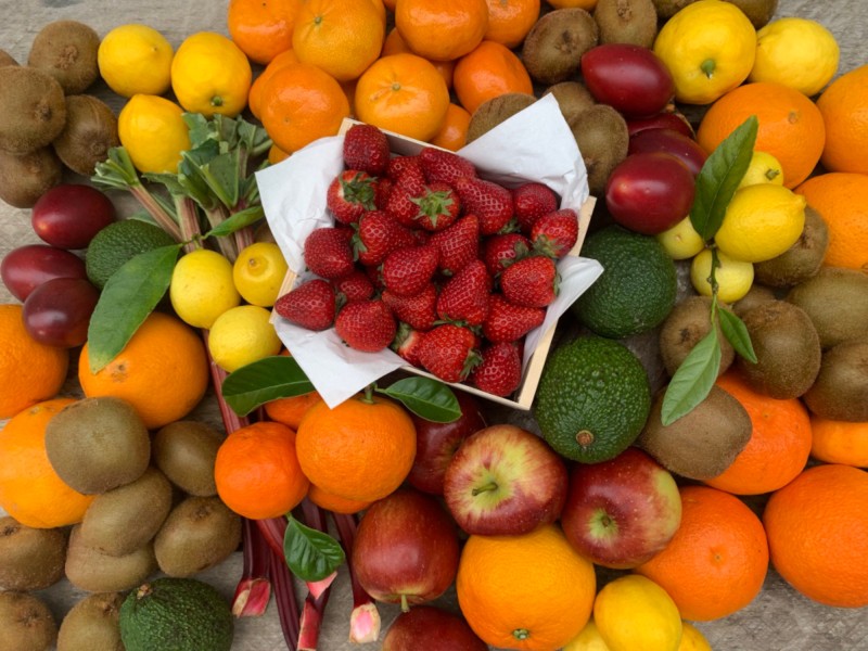 5.50fruit